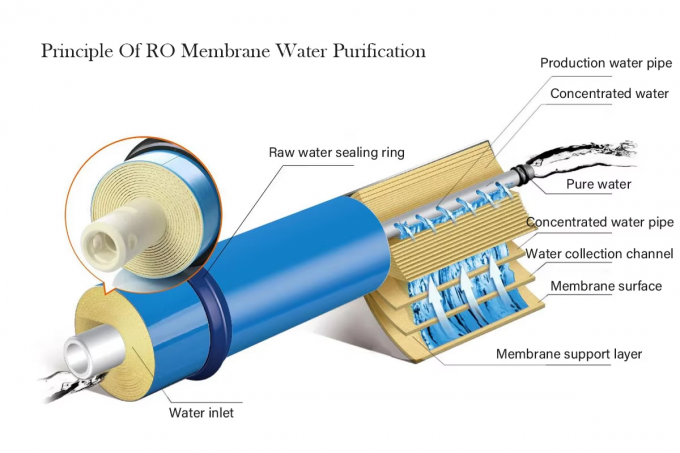 Automated Reverse Osmosis Water Purification Machine With Pump & PLC ...