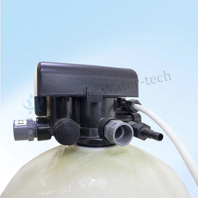 1000L/H Industrial Water Softener System with Ion Exchange Resin and Automatic Control for Boiler Feed Water