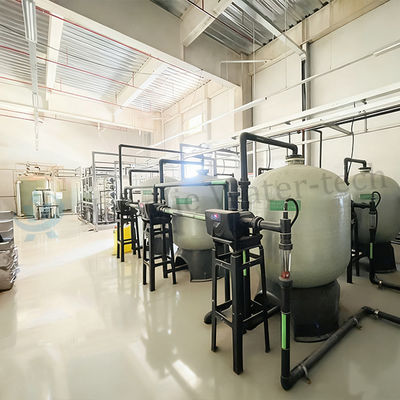 20T/H Dual-Stage RO + EDI + Mixed Bed Ultrapure Water Systems For Hungarian 