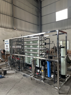1 T/H Stainless Steel Ultrapure Water Equipment with EDI