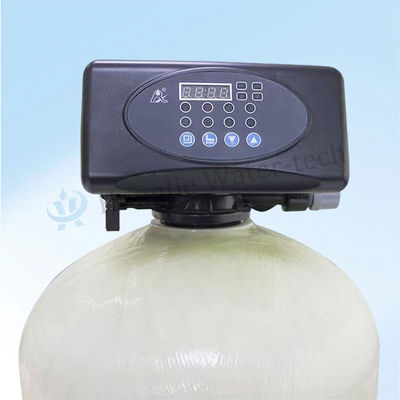 1000L/H Industrial Water Softener System with Ion Exchange Resin and Automatic Control for Boiler Feed Water