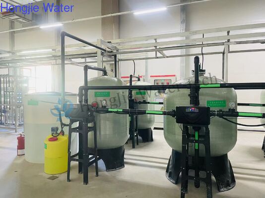 Prezzo buono Macchina per il trattamento dell'acqua ad osmosi inversa completamente automatica da 12 TPH controllata da PLC con tasso di desalinizzazione del 97% in linea